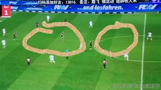 风云突变!法兰克福关键时刻复出首秀,NBA季后赛版图或变,球迷炸锅,心理建设被强调的简单介绍 风云突变!法兰克福关键时刻复出首秀,NBA季后赛版图或变,球迷炸锅,心理建设被强调的简单介绍